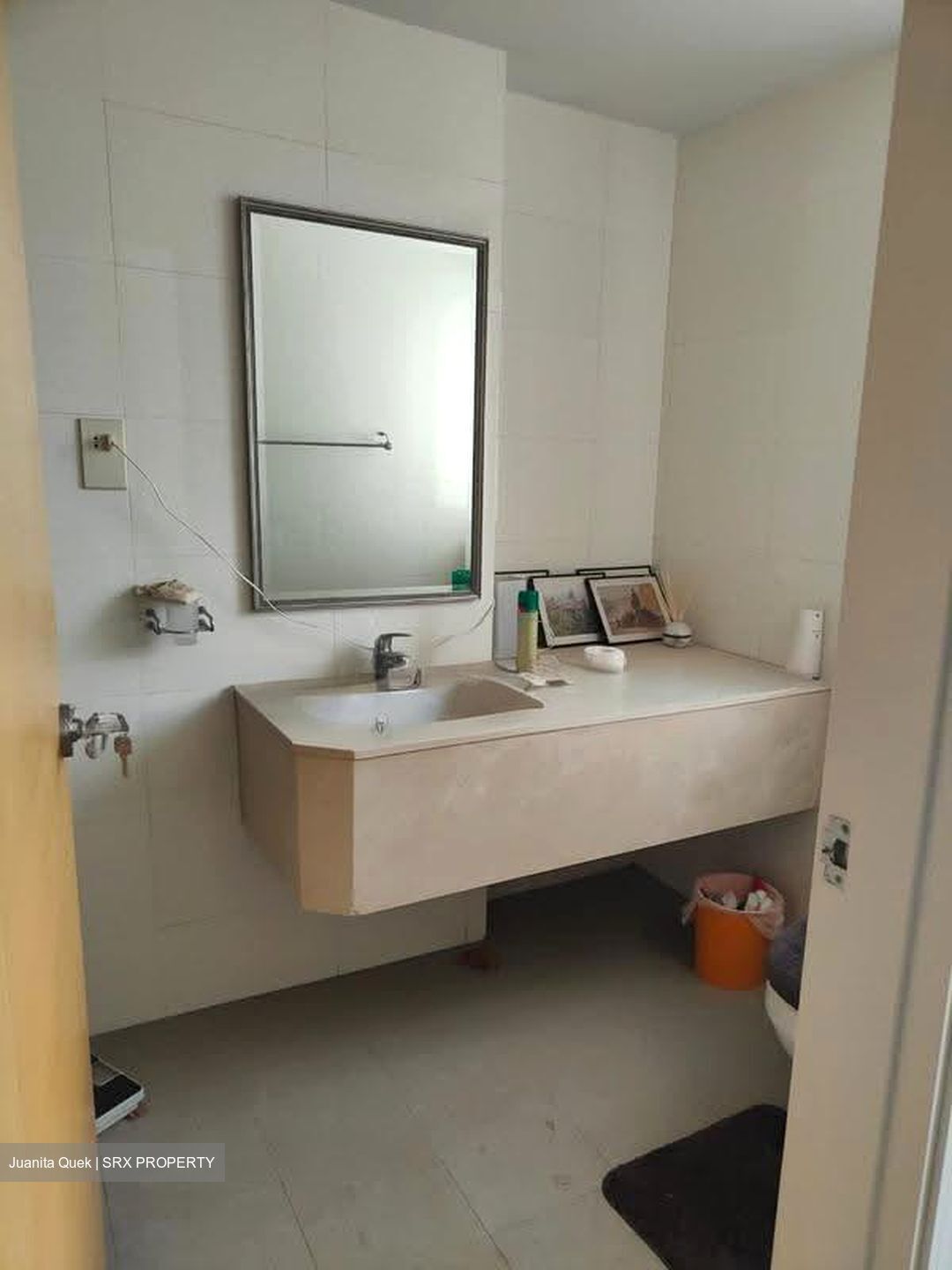 Regency Park (D10), Condominium #610255111